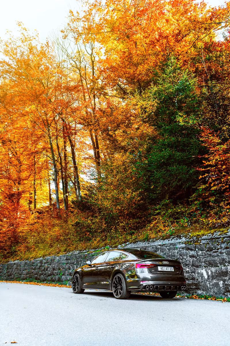 Schwarzer Audi vor einer Steinmauer und leuchtend herbstlichen Bäumen.