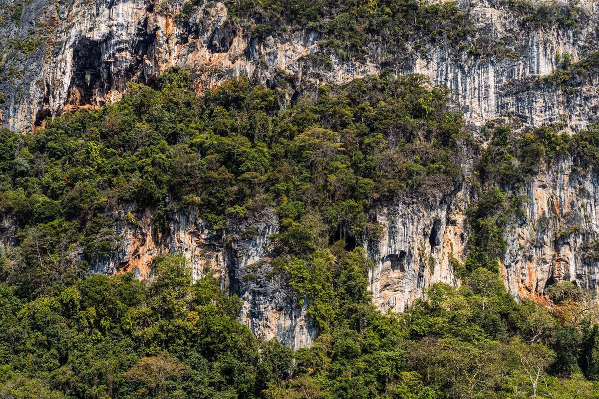 Thailand: Steile Kalksteinfelsen mit dichtem tropischem Dschungel und Höhlenöffnungen