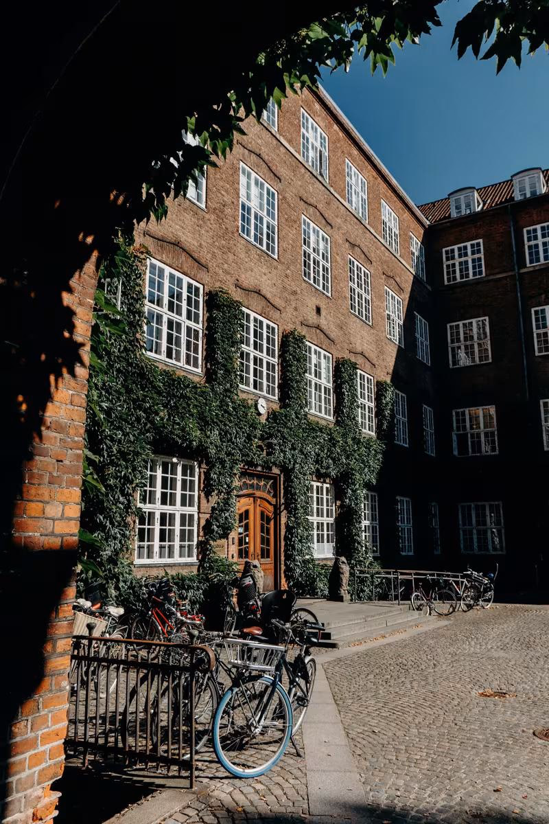 Copenhagen: Efeu-bewachsener Backsteinbau mit Fenstern und Fahrrädern im Innenhof