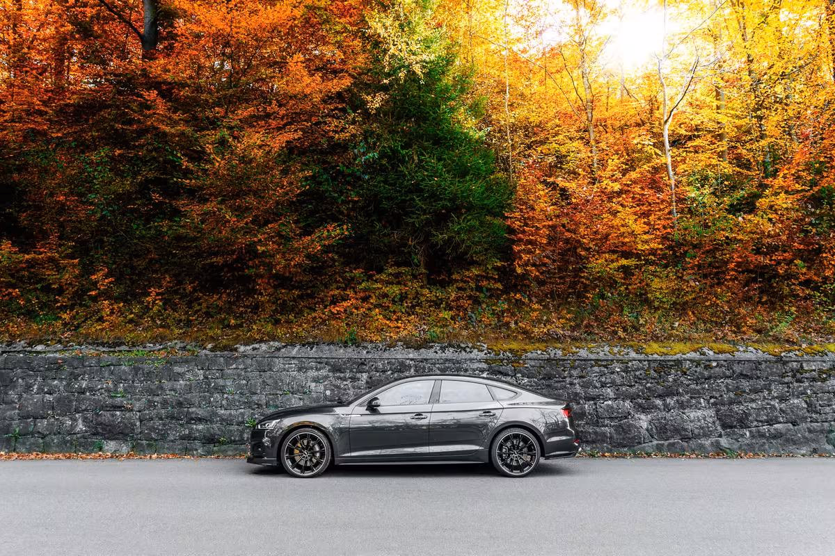 Audi: Graue Limousine vor Steinmauer und herbstlichem Wald