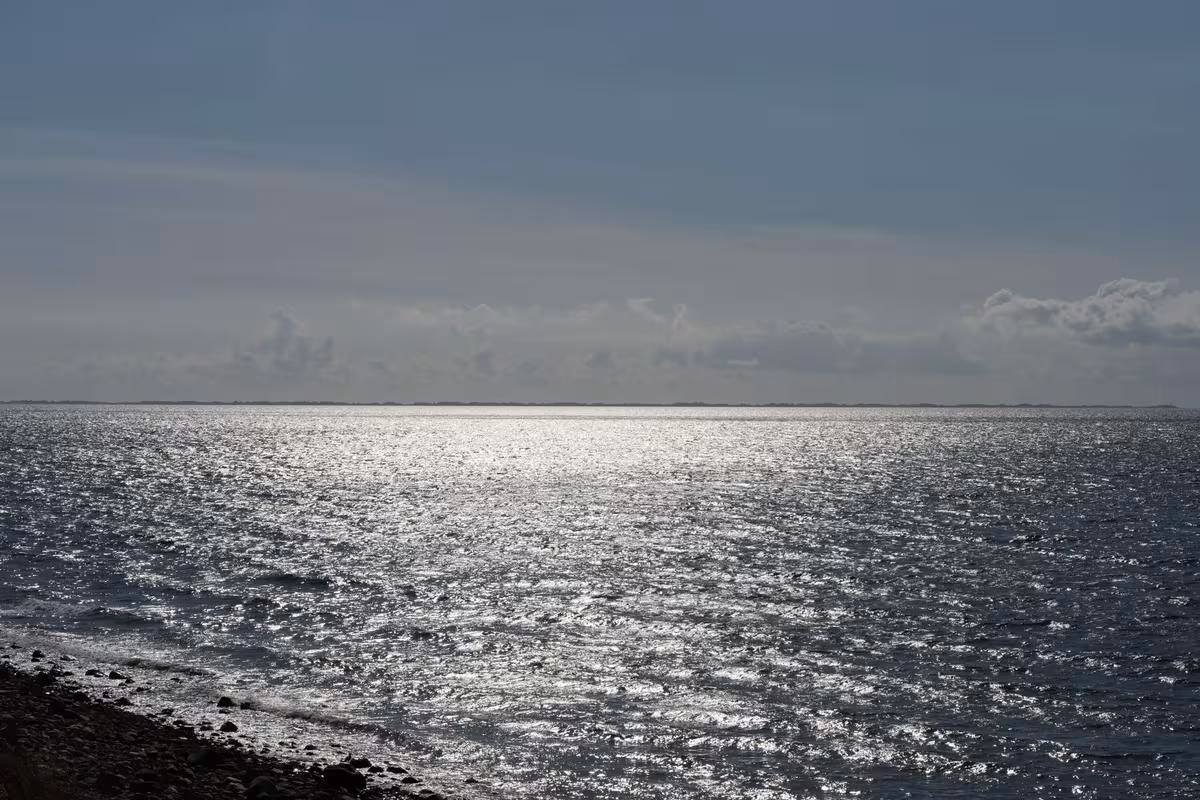 Copenhagen: Glitzerndes Meer unter grauem Himmel mit ferner Küstenlinie am Horizont.
