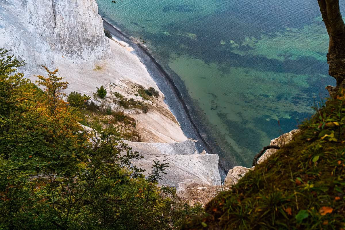 Copenhagen: Blick auf steile Kalkfelsen und türkisgrünes Wasser mit dichtem Buschwerk