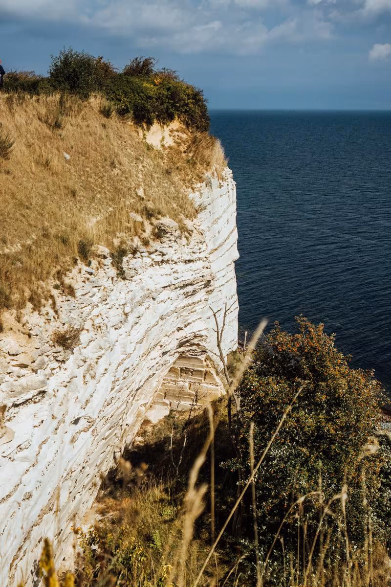 Copenhagen: Weiße Klippe mit trockenem Gras und Büschen am Meer unter blauem Himmel.