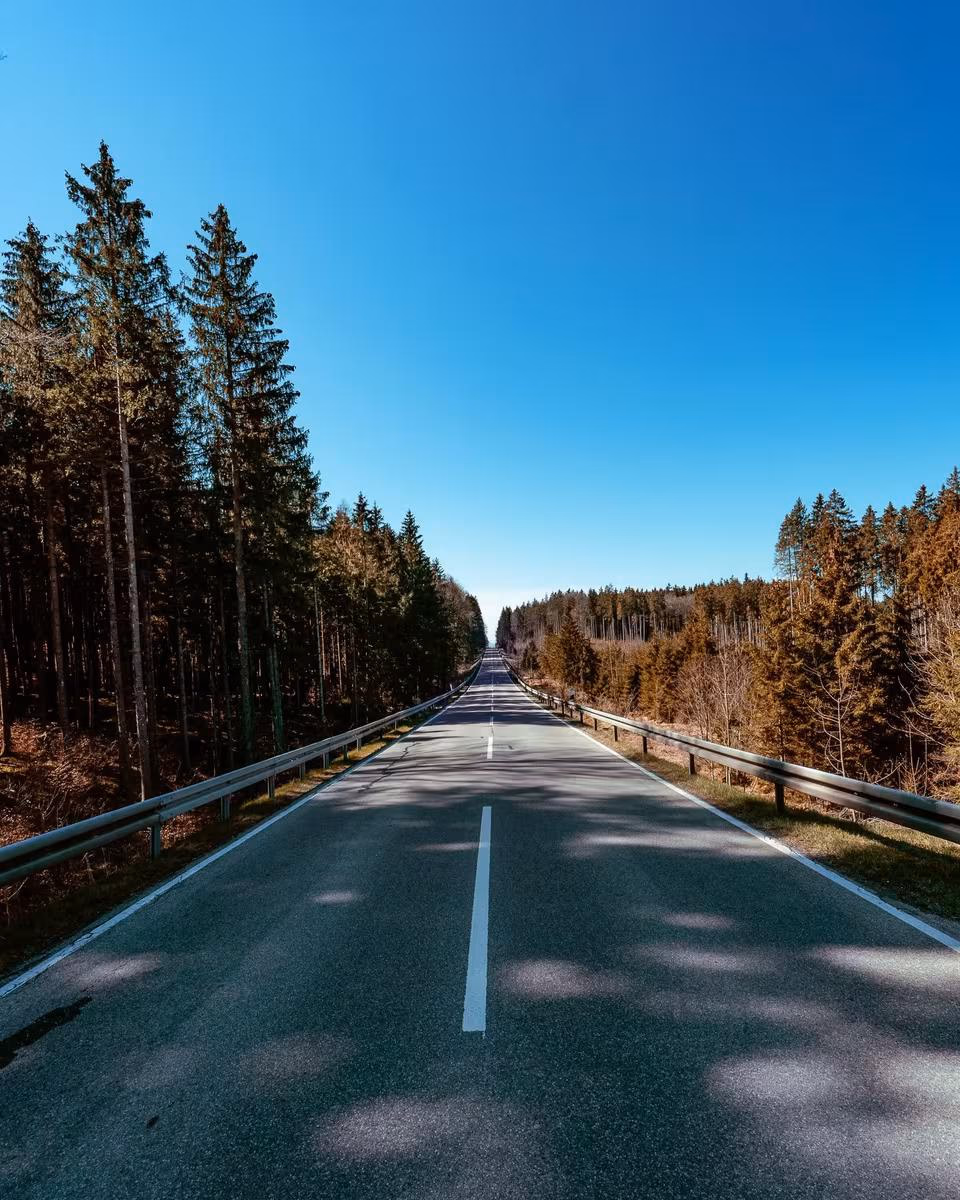 Audi: Gerader Landweg durch Nadelwald unter klarem blauem Himmel.