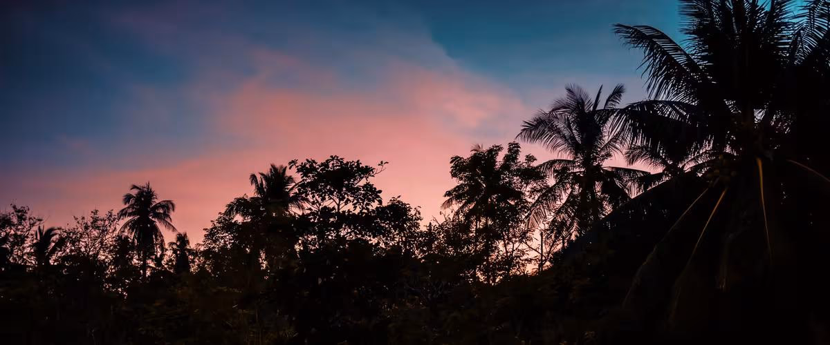 Thailand: Palmen-Silhouetten vor einem rosa- und blauverhangenen Himmel bei Sonnenuntergang.